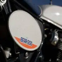 LATEST BEAR 650 BASE Triumph - Image 4